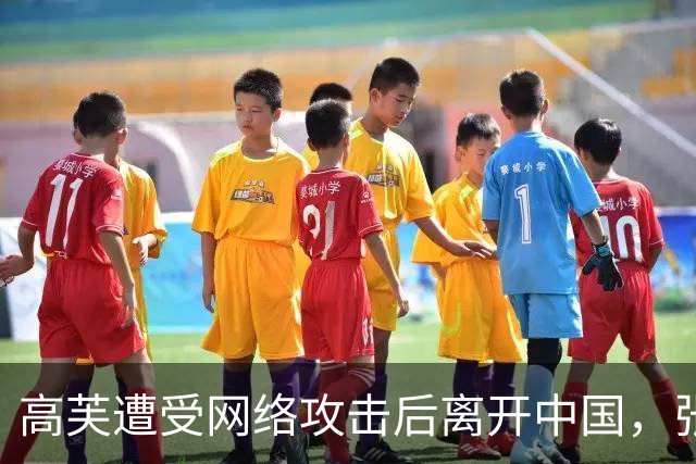 高芙遭受网络攻击后离开中国，张帅发声支持：她是善良正直的选手
